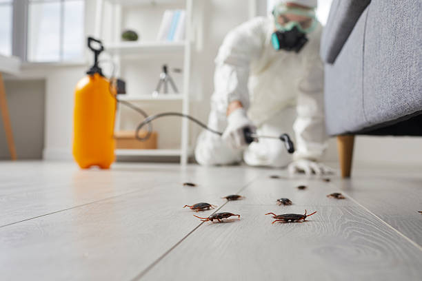 Commercial Kitchen Cockroach Control in Kaunakakai